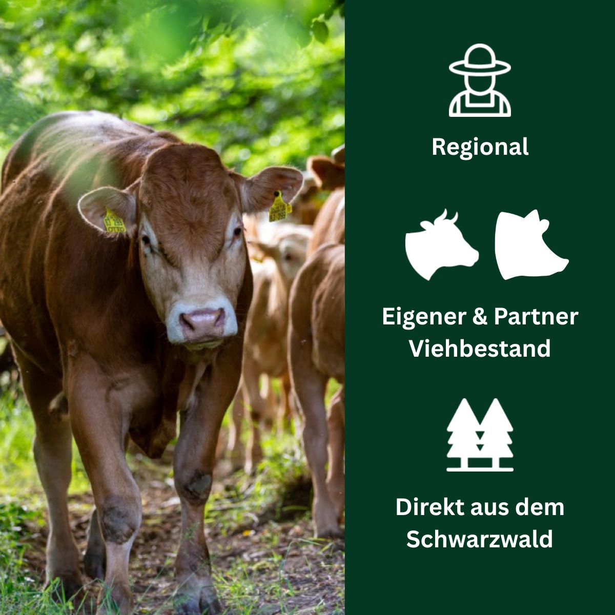Hüftsteaks mariniert