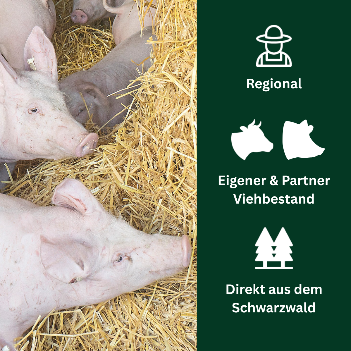 Regionaler Viehbestand aus eigener Aufzucht und Partnerbetrieben im Schwarzwald