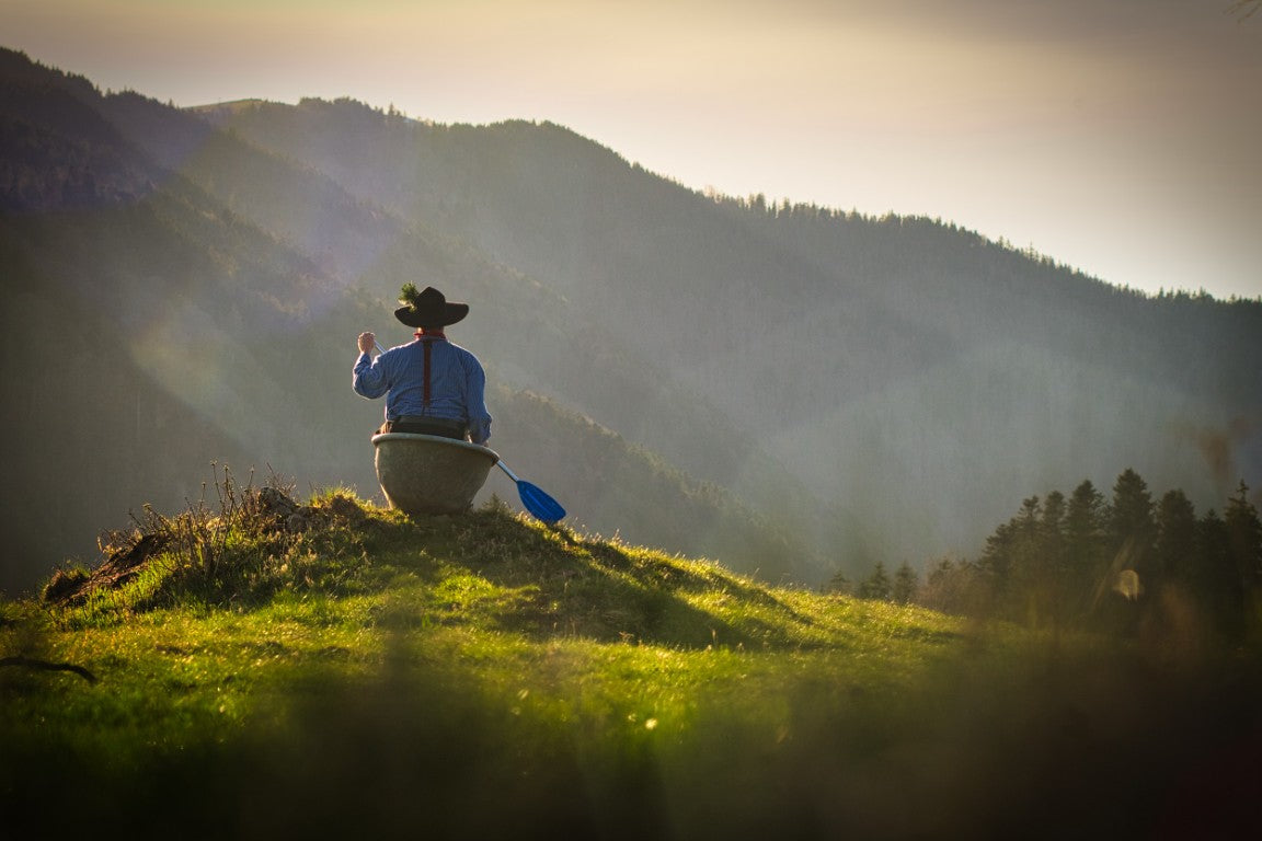 Fidelius & die Waldvögel